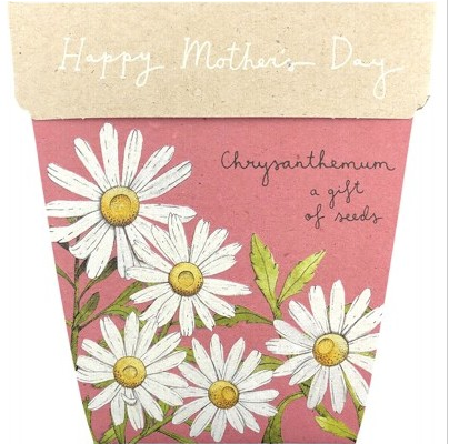 Sow n' Sow - Mother's Day Edition Chrysanthemum Seeds