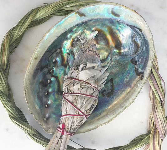Abalone Shell - Natural